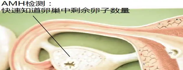 1677483046154587.png 圖片19.png